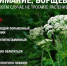 photo_2022-05-17_16-05-08.jpg - Газета Сельская новь